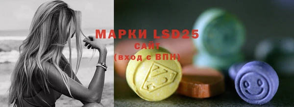 индика Алексин